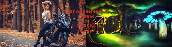 хмурый Алексин