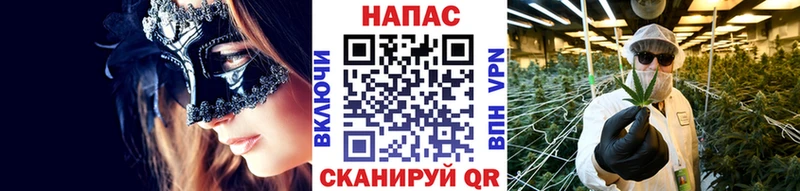 Каннабис конопля  Купить где  Верея 
